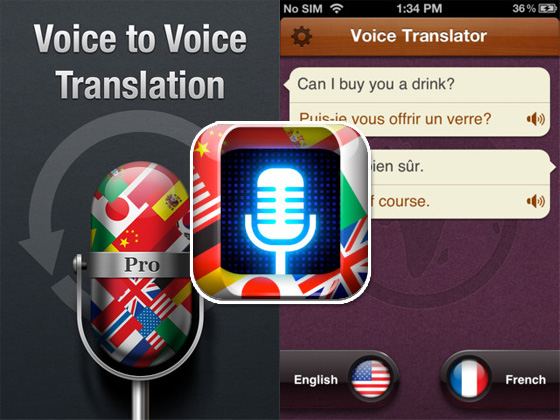 chinese voice translator