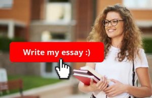 essayhave.com essay writing service